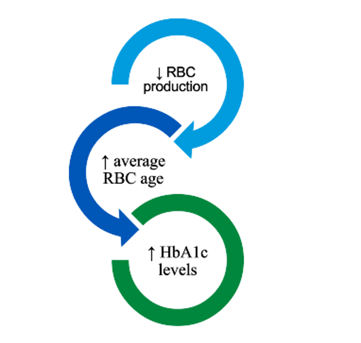 Diabetes Affecting Rbc Let’s Not Sugar Coat It: HbA1c is the Imperfect Diabetes Diagnostic