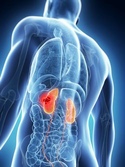 The Impact on the Treatment Landscape of Nivolumab Plus Cabozantinib for Advanced Renal Cell Carcinoma