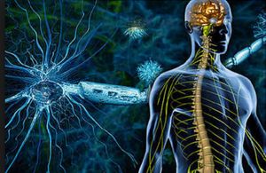 The Expanding Roles of Genetic Counselors in Specialty Pharmacy Management