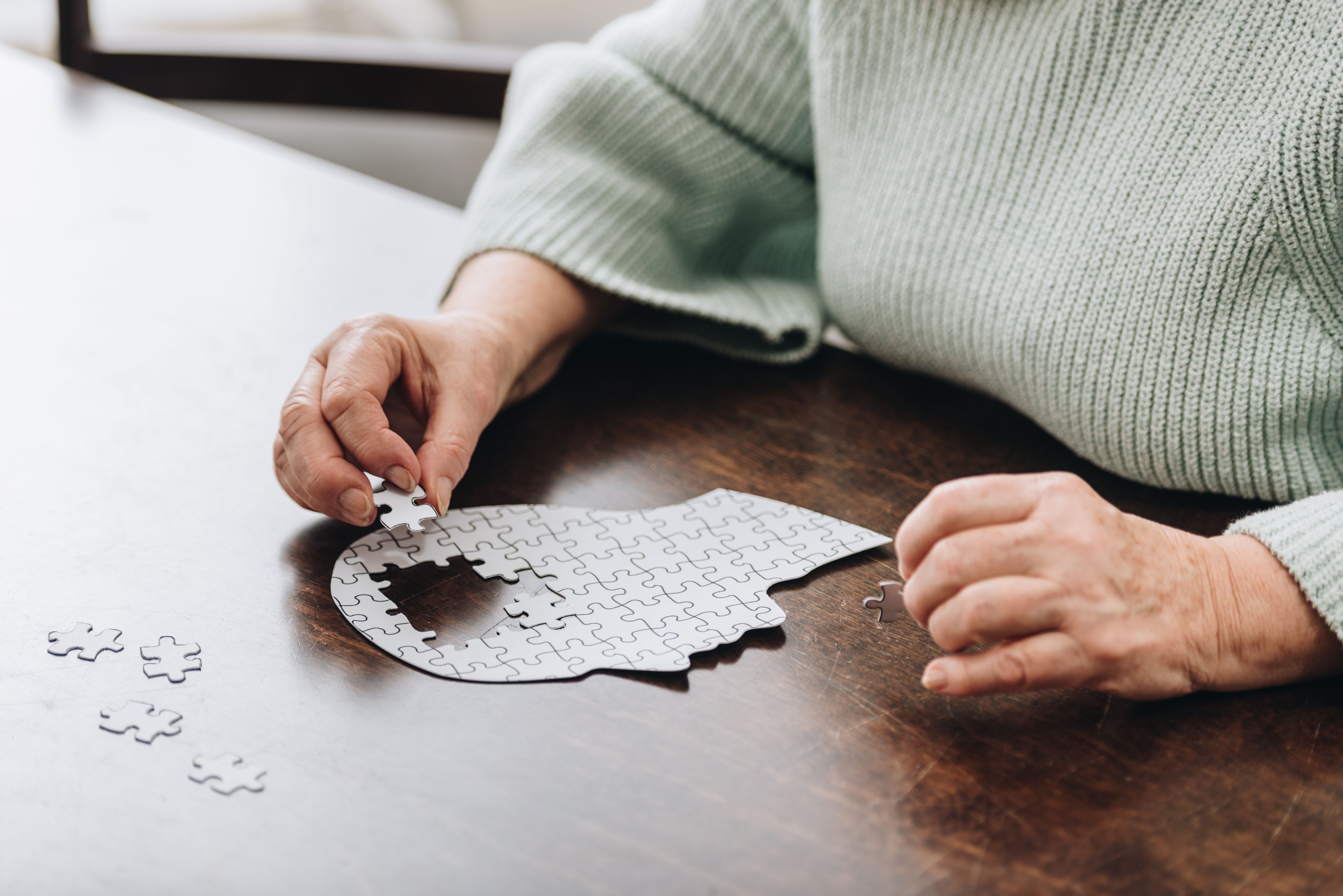 Elderly woman completing puzzle -- Image credit: LIGHTFIELD STUDIOS | stock.adobe.com