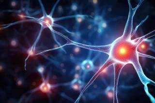 Expert: Overcoming Challenges in CIDP Pharmacotherapy Management