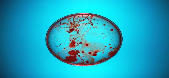 CDC Report on Antibiotic Resistance Threats Shows Higher Death Toll