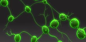 CAR-NK Cell Immunotherapy Demonstrates Potential for Treating Patients With Relapsed or Refractory Lymphomas