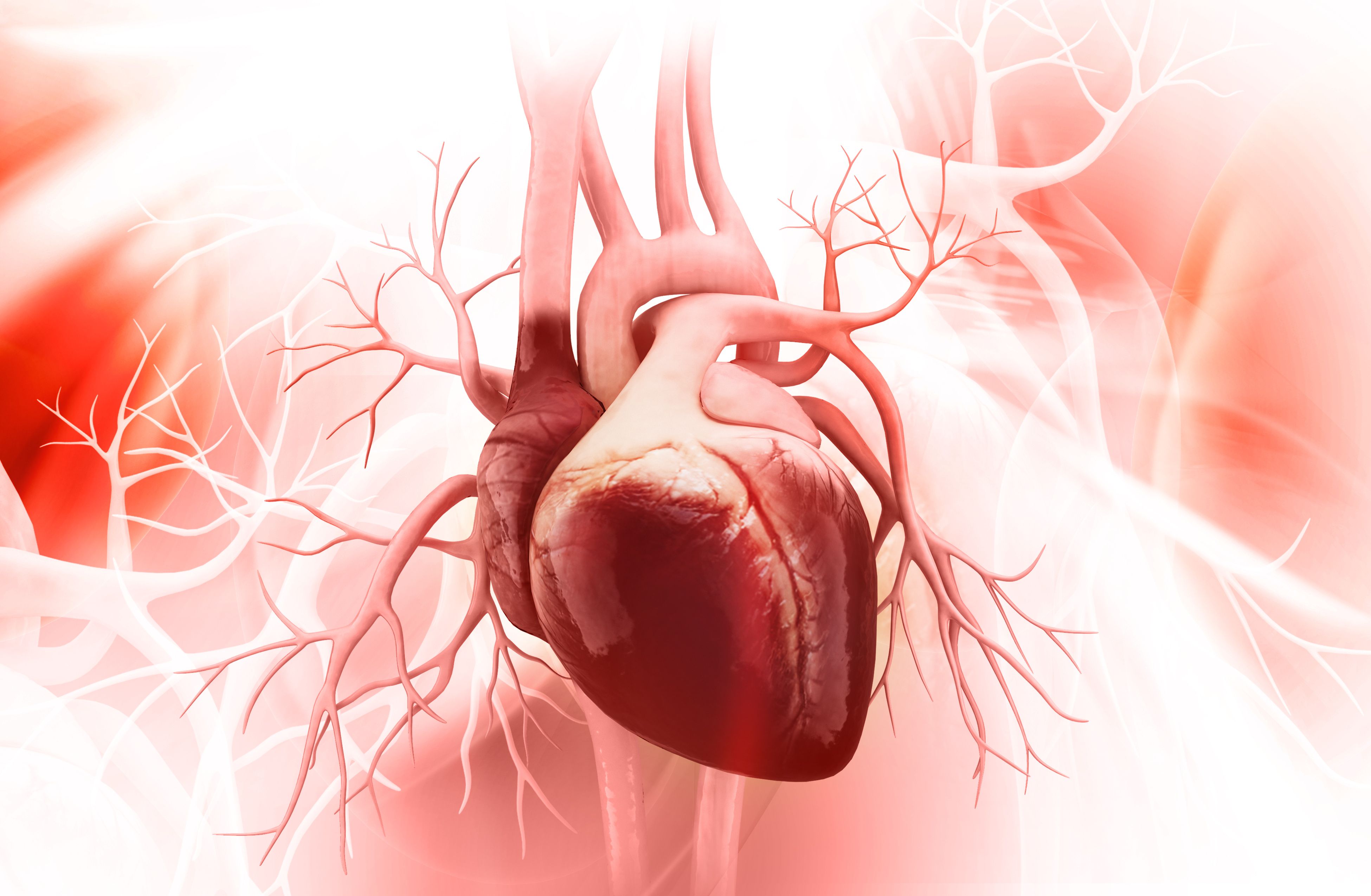 Study: Empagliflozin Reduces MACE Regardless of Baseline Albuminuria Levels