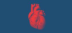 Study Finds Heart Function Recovered Quickly in Children with COVID-19-Related MIS-C Condition