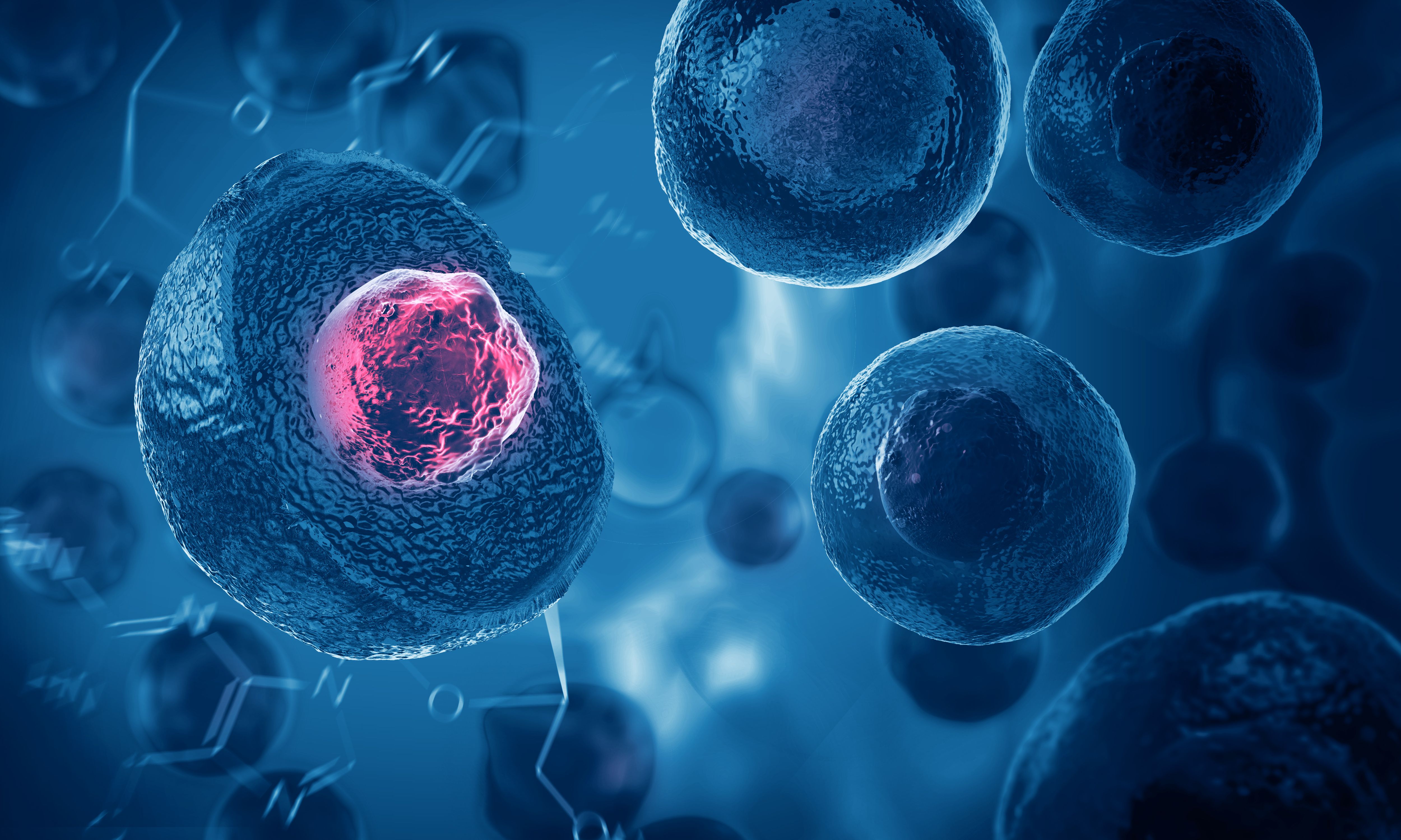 Cell therapy -- Image credit: Giovanni Cancemi | stock.adobe.com