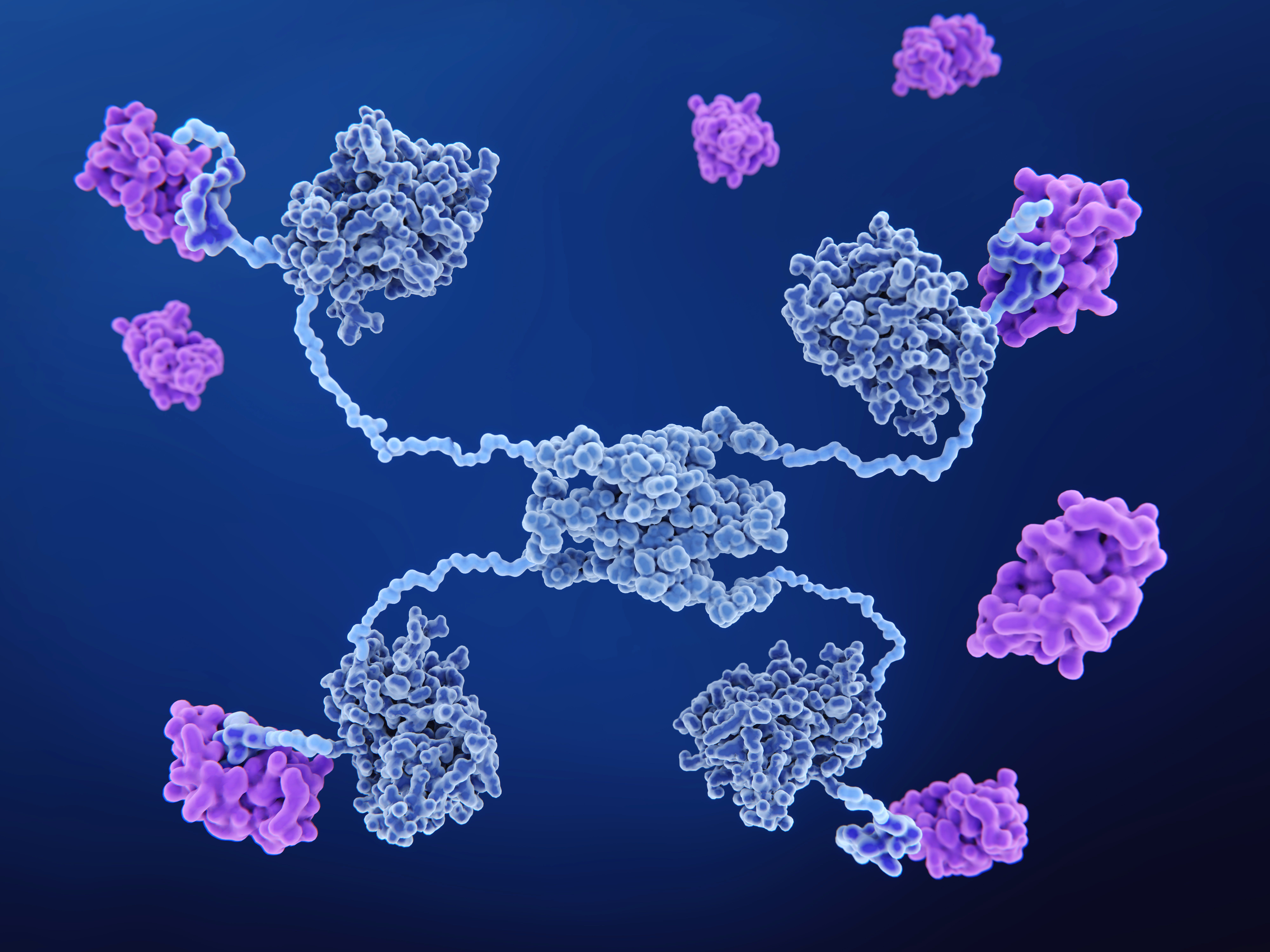 Chemical structure of MDM2 protein binding p53 | Image Credit: © Juan Gärtner - stock.adobe.com