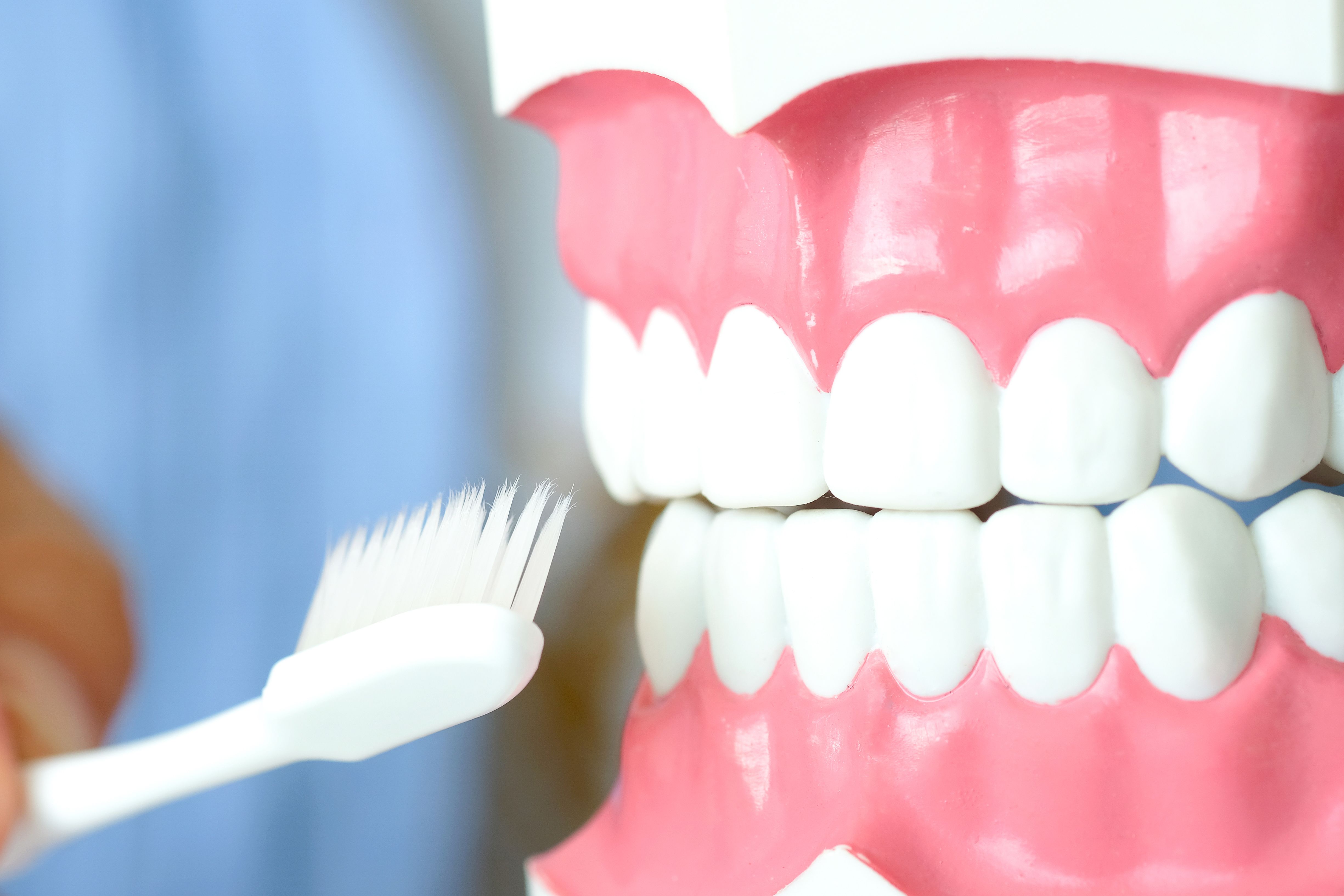 Dentist 