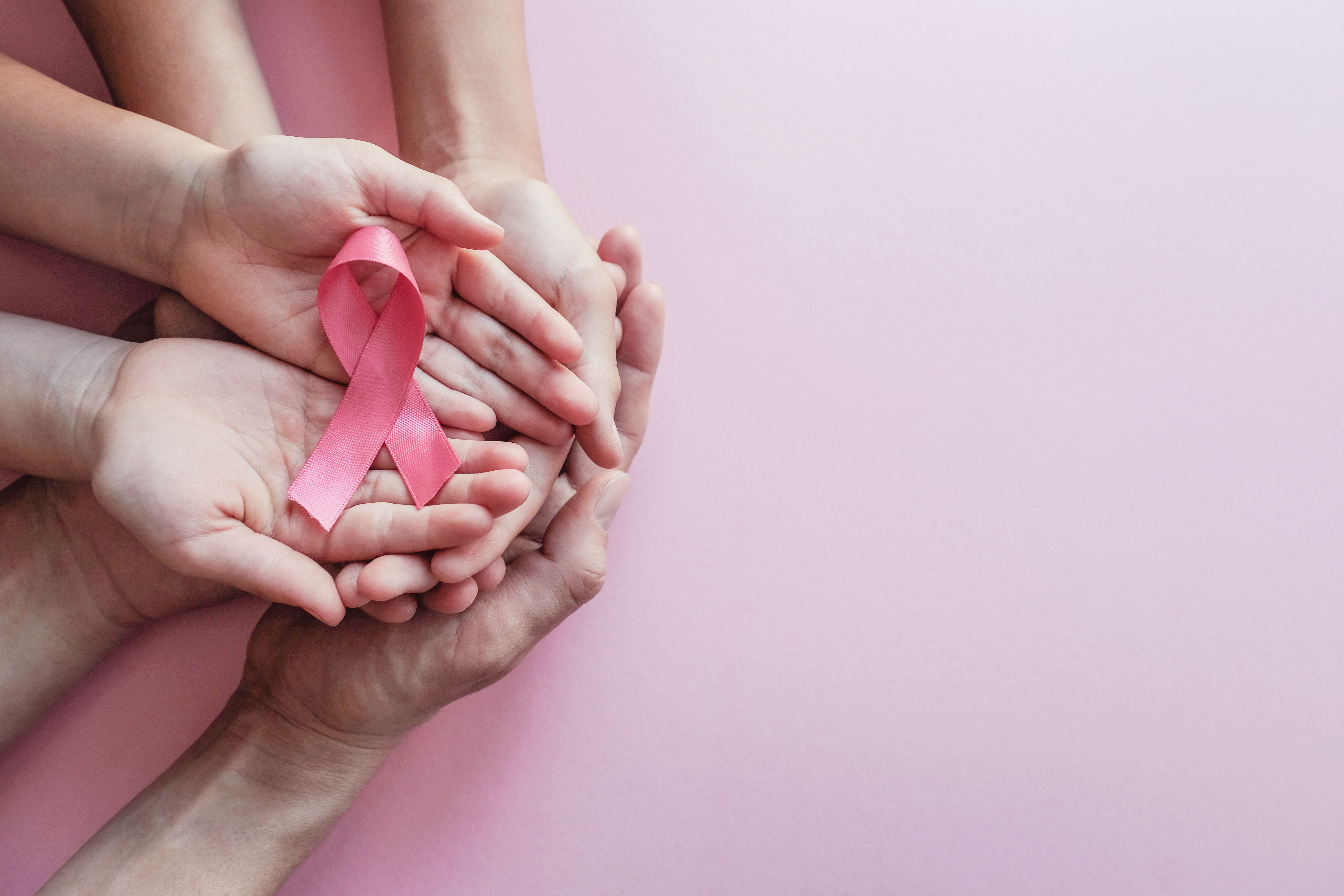 hands holding pink ribbons, Breast cancer awareness and October Pink day, world cancer day | Image Credit: Sewcream Studio | adobe.stock.com