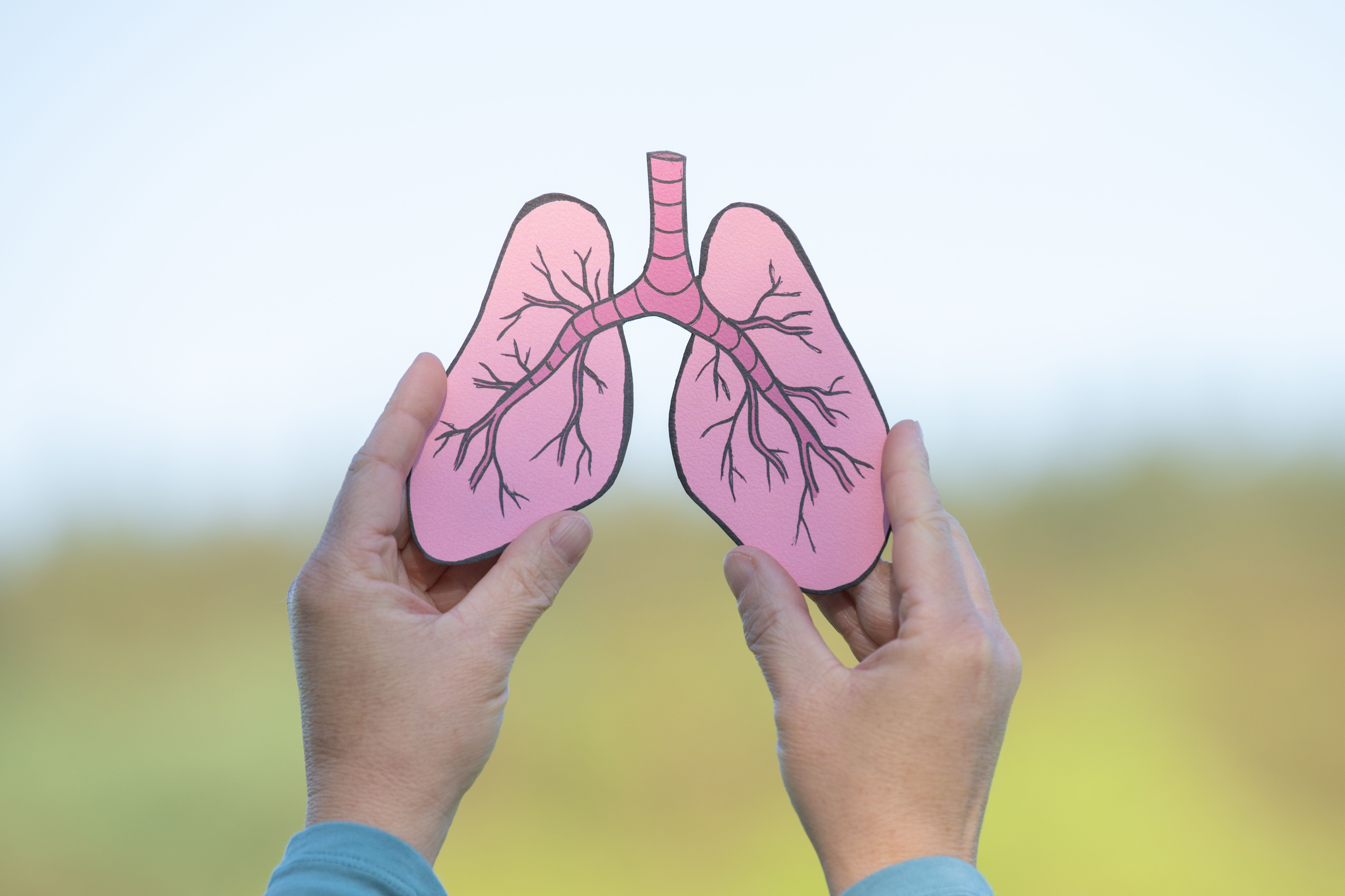 Pulmonary arterial hypertension (PAH) -- Image credit: Berit Kessler | stock.adobe.com
