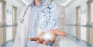 Gastroenterologist using digital x-ray of human intestine holographic scan projection 3D rendering | Image Credit: sdecoret - stock.adobe.com