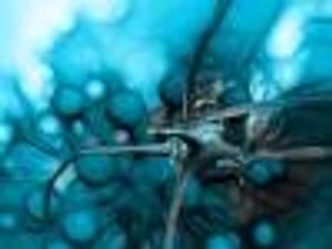 Precision Medicine and Immune-Oncology Transform Cancer Treatment