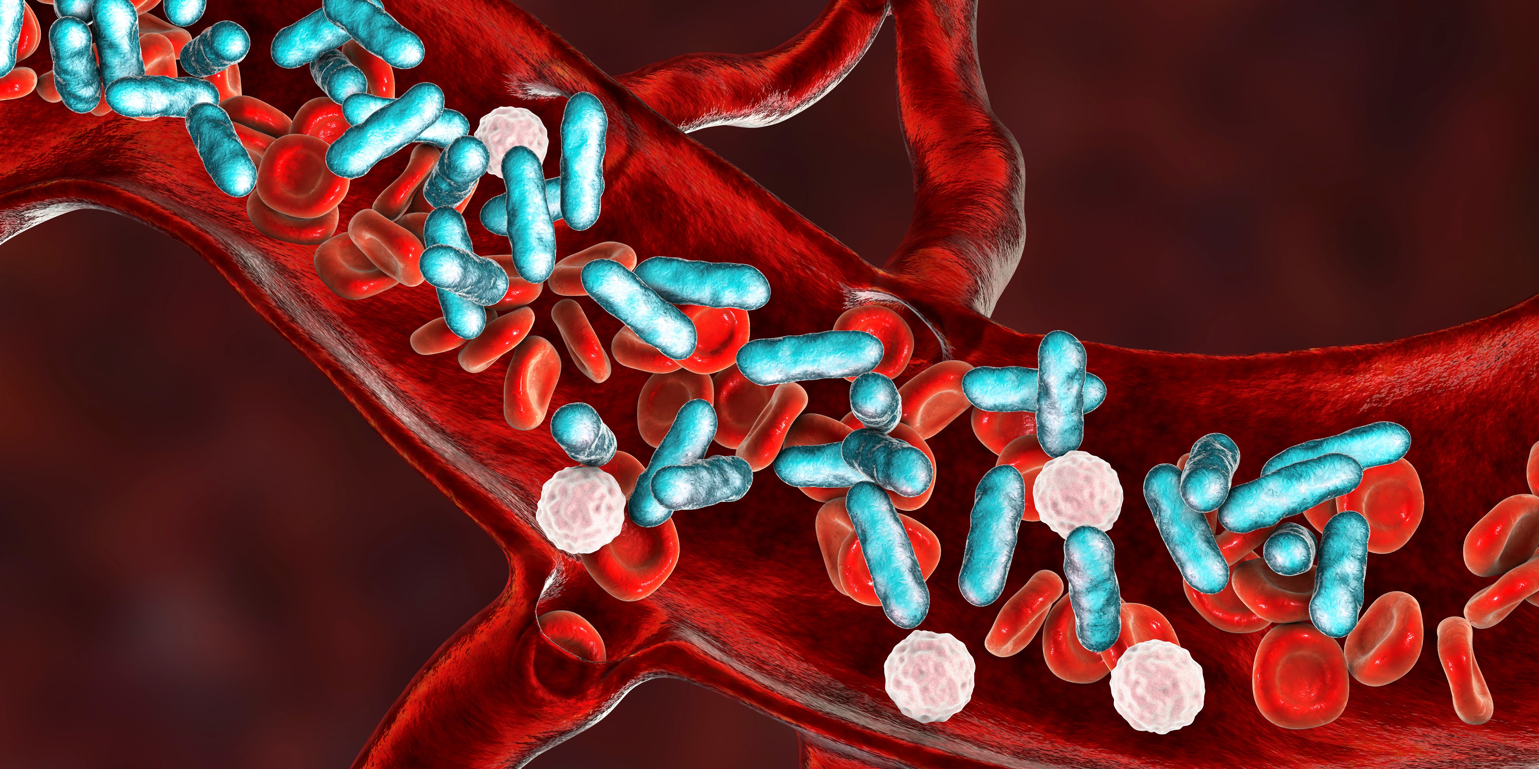 Image credit: Dr_Microbe | stock.adobe.com