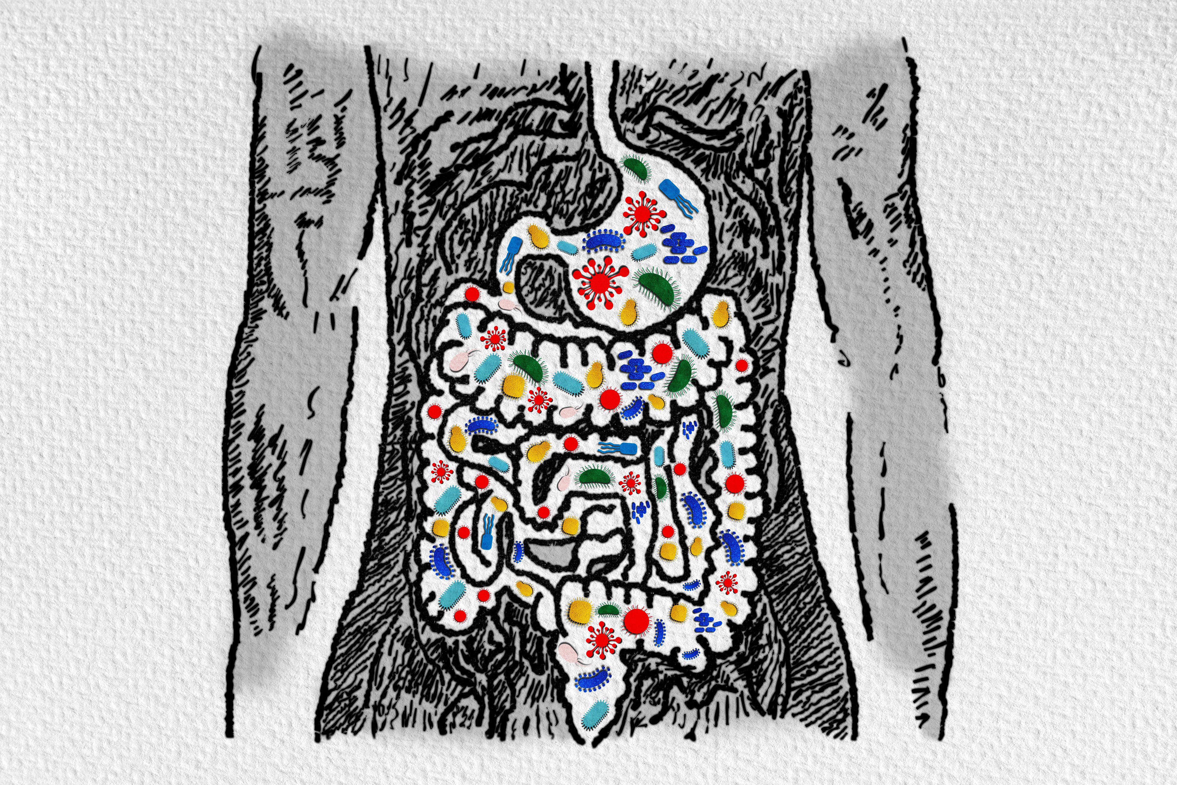 Drawing of the gut microbiome | Image Credit: © ArtemisDiana - stock.adobe.com