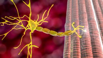 Motor neuron connecting to muscle fiber, 3D illustration - Image credit: Dr_Microbe | stock.adobe.com