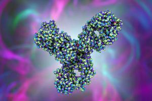 Molecular model of pembrolizumab | Image Credit: © Dr_Microbe - stock.adobe.com