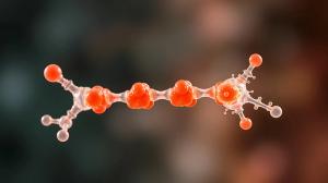 Alpha-galactosidase (Agalsidase) enzyme. Cause of Fabry's disease. Administered as enzyme replacement therapy.