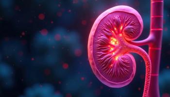Kidney tissue with calcified and sclerotic changes, interstitial fibrosis, kidney damage, renal dysfunction