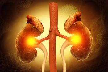 Kidneys affected by chronic kidney disease (CKD) -- Image credit: Crystal light | stock.adobe.com
