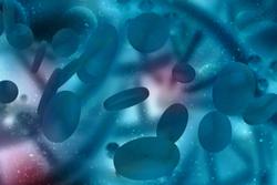The Role of Nrf2, Vitamin K in DNA Damage Signaling, Senescence, Inflammaging