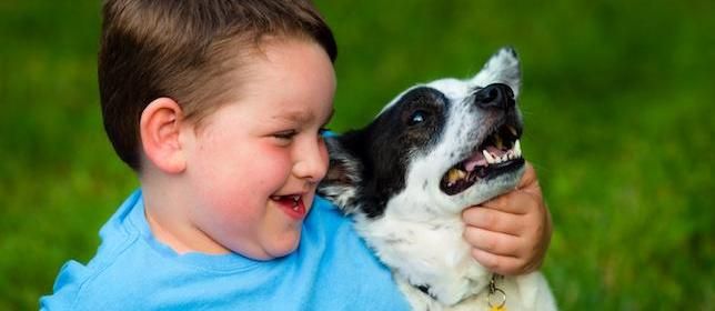 Study: Therapy Dogs Reduce ADHD Symptoms in Children