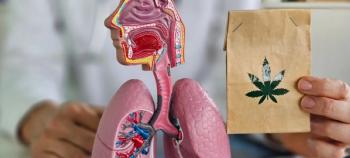Effect of cannabinoids on body and lungs doctor holds marijuana and the respiratory system | Image Credit: Nadzeya | stock.adobe.com