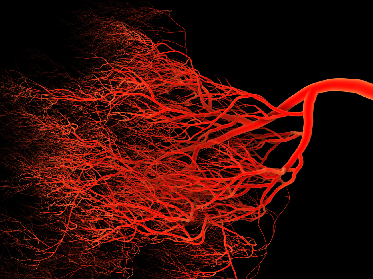 FDA Approves Rebinyn for Routine Prophylaxis to Prevent Bleeding in ...