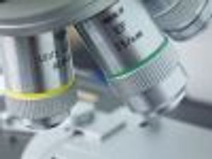 Bisphosphonates May Help Prevent Endometrial Cancer 