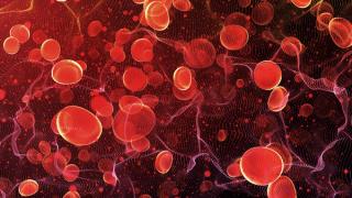 Hematology -- Image credit: DIgilife | stock.adobe.com