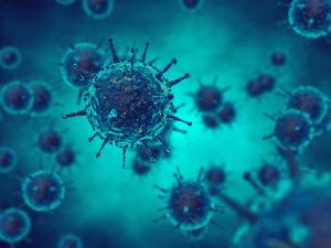 Virus infectious disease -- Image credit: nobeastsofierce | stock.adobe.com