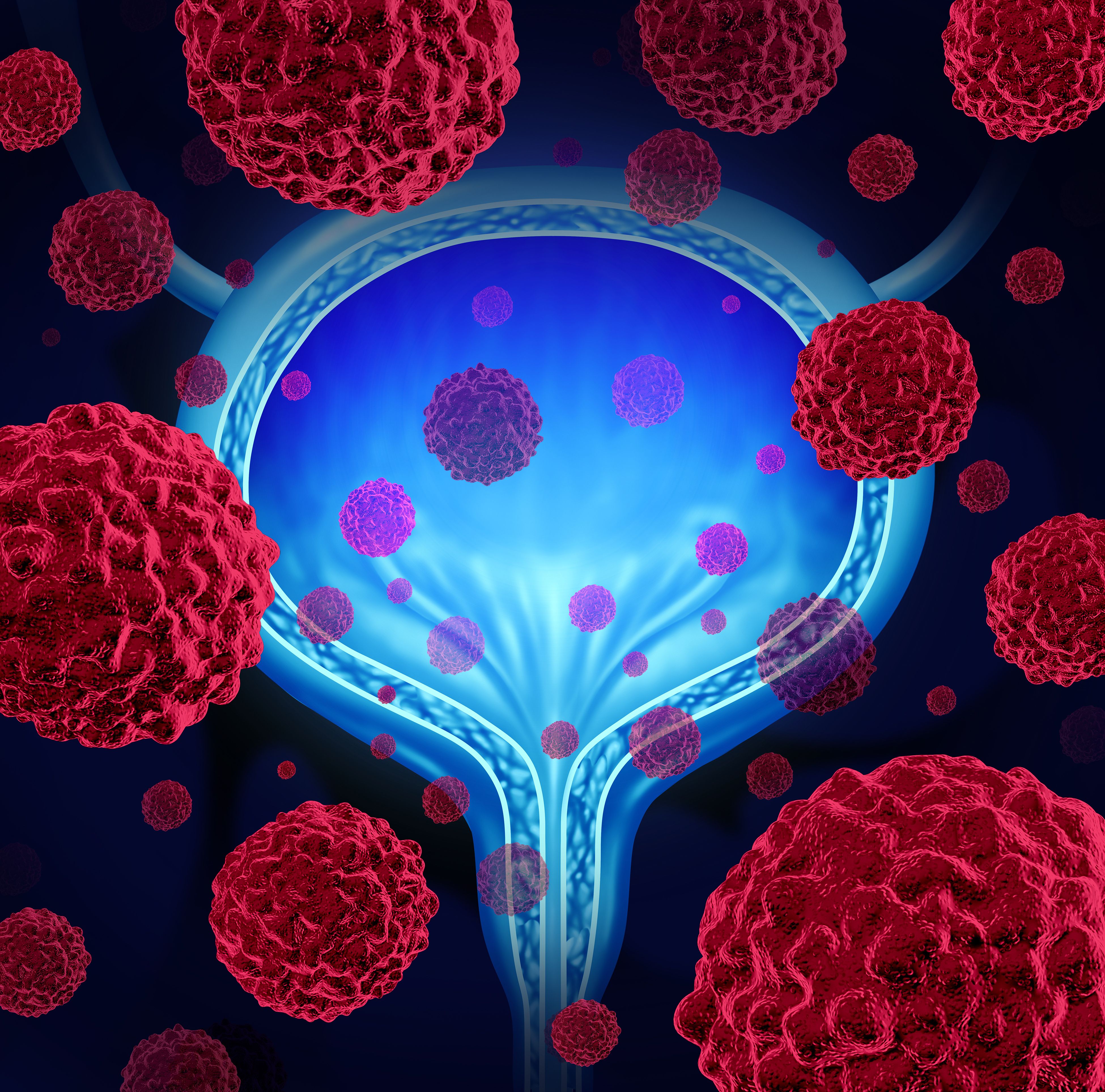 Image credit: freshidea - stock.adobe.com