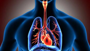 3d illustration of the heart and lung