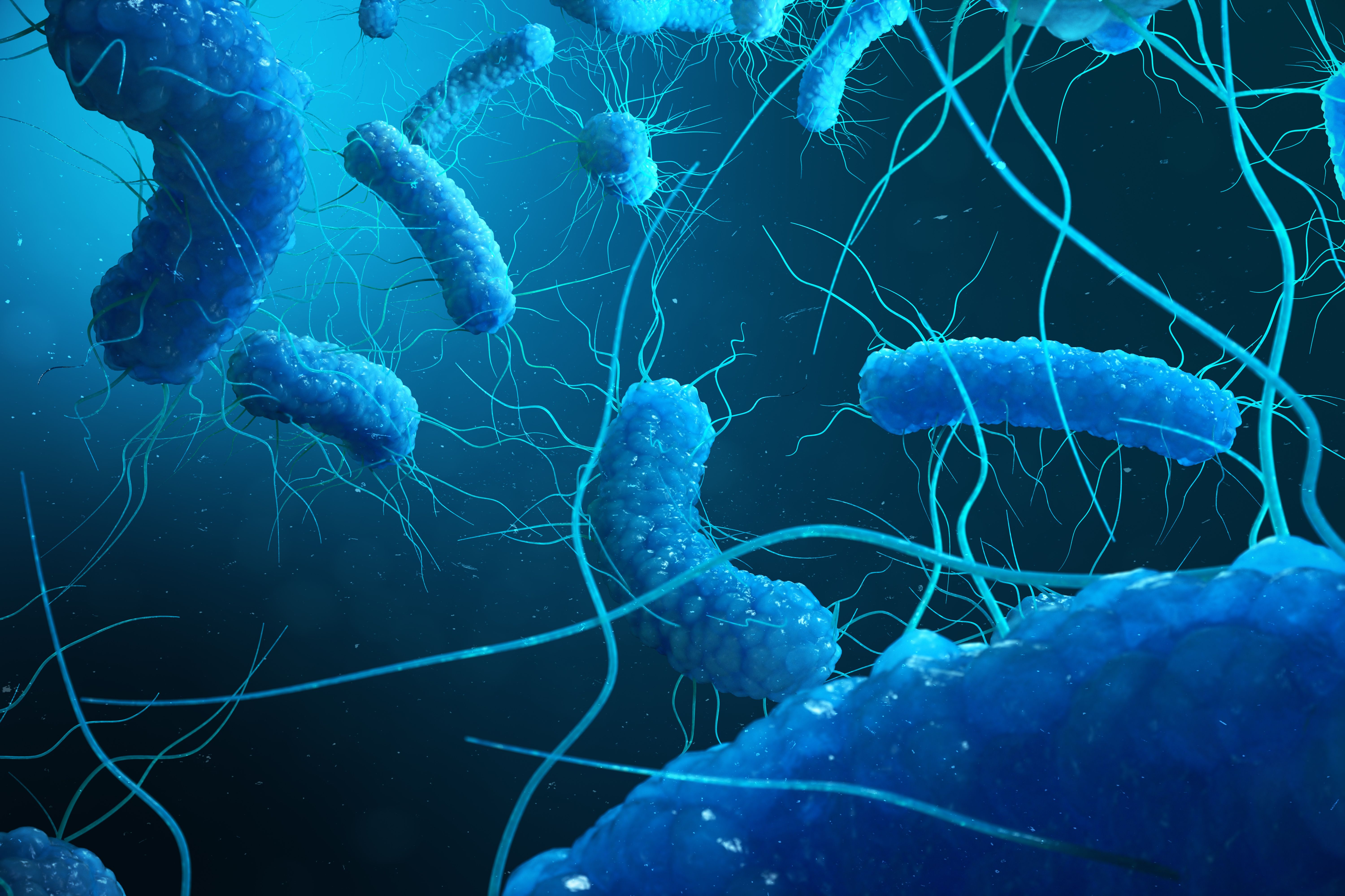 Updated c diff guidelines recommend fidaxomicin not vancomycin in