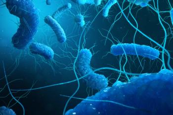 Bacteria