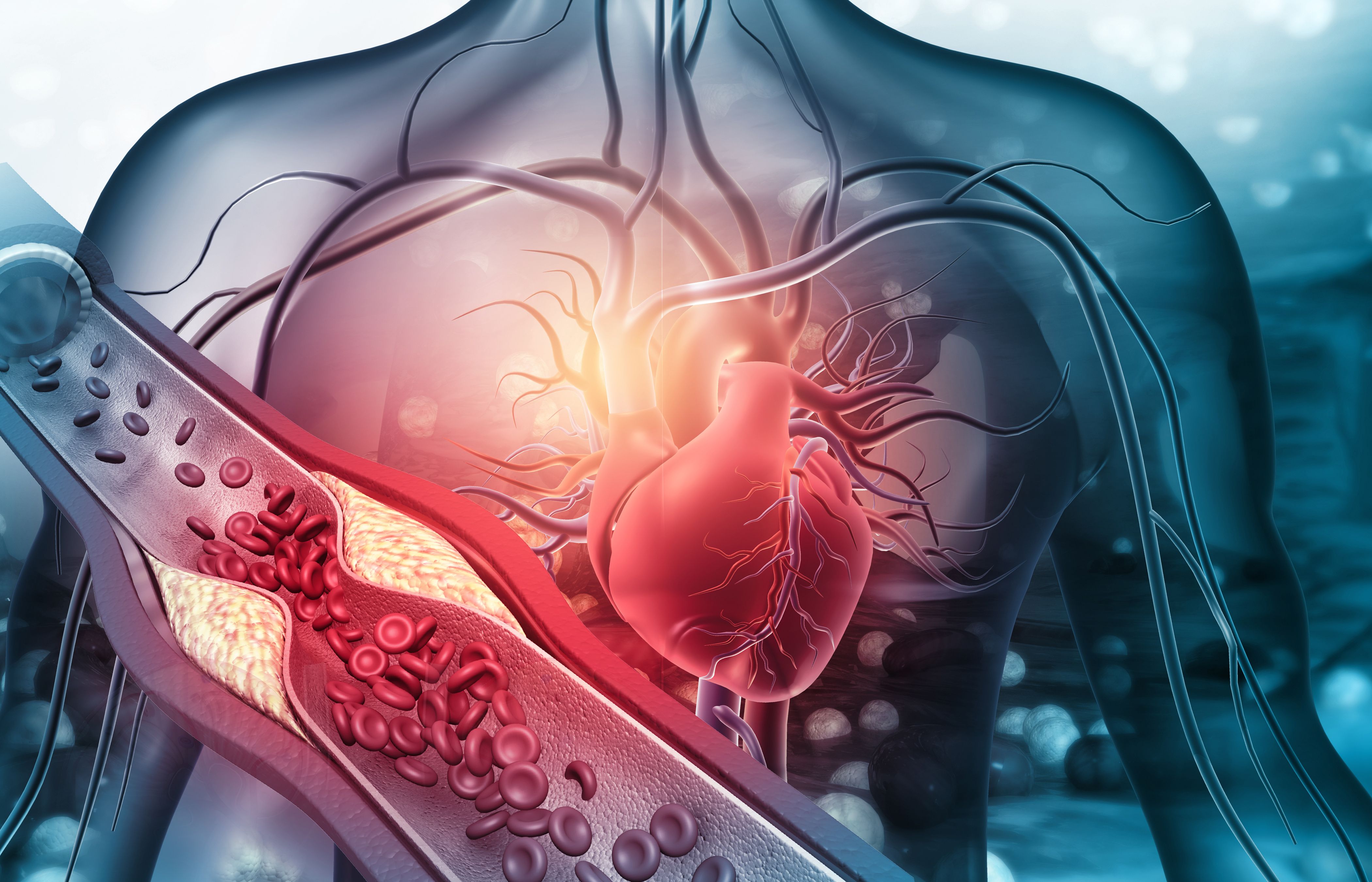 Hypertension, Obesity, Overweight, Weight Management, Cardiovascular disease | Image Credit: © Rasi | stock.adobe.com