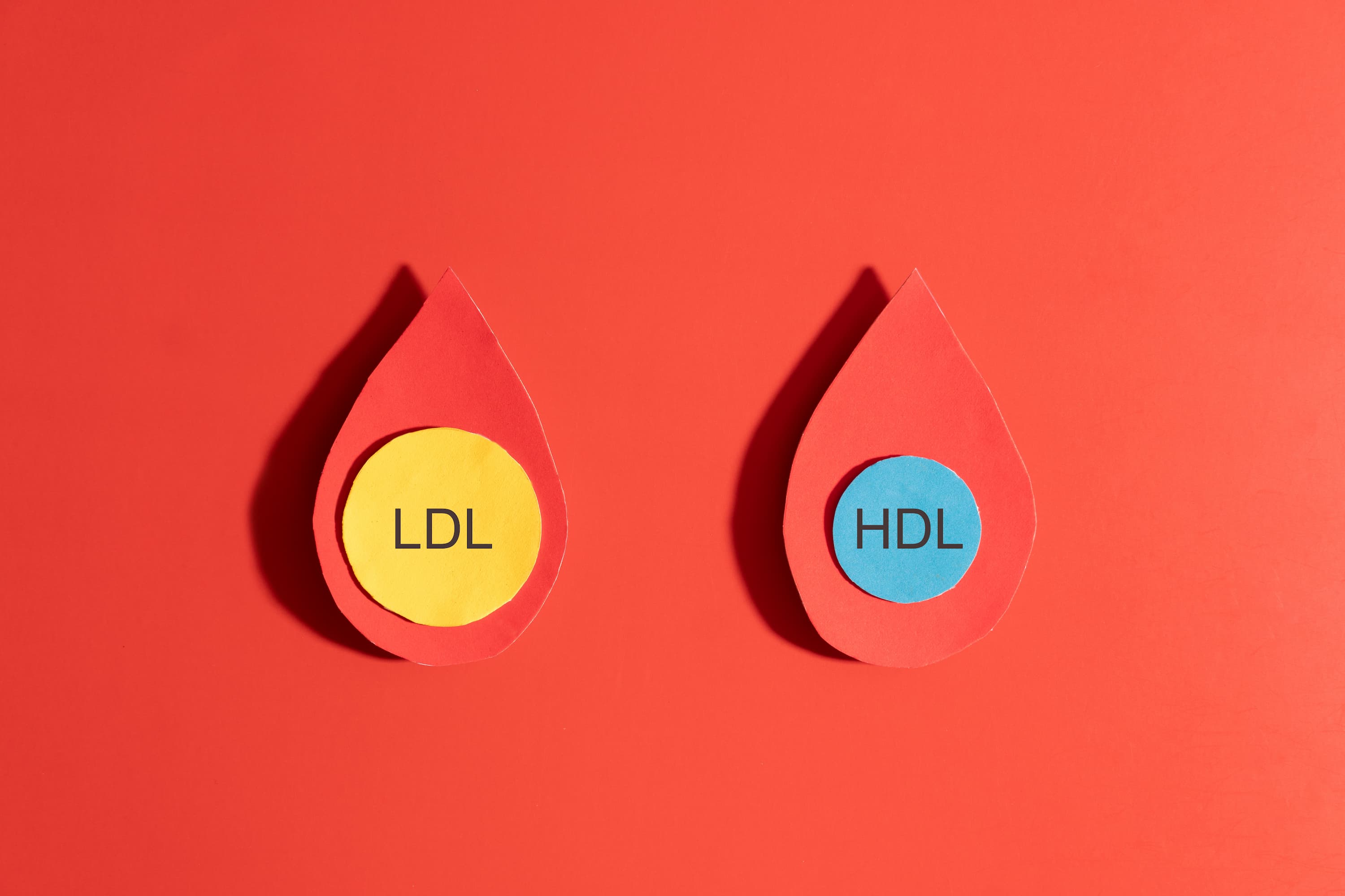 High cholesterol concept. LDL cholesterol with yellow spherical particles and HDL cholesterol with blue spherical particles inside blood droplets on red background. Cardiovascular disease problem