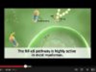 Understanding Targeted Therapies for Multiple Myeloma