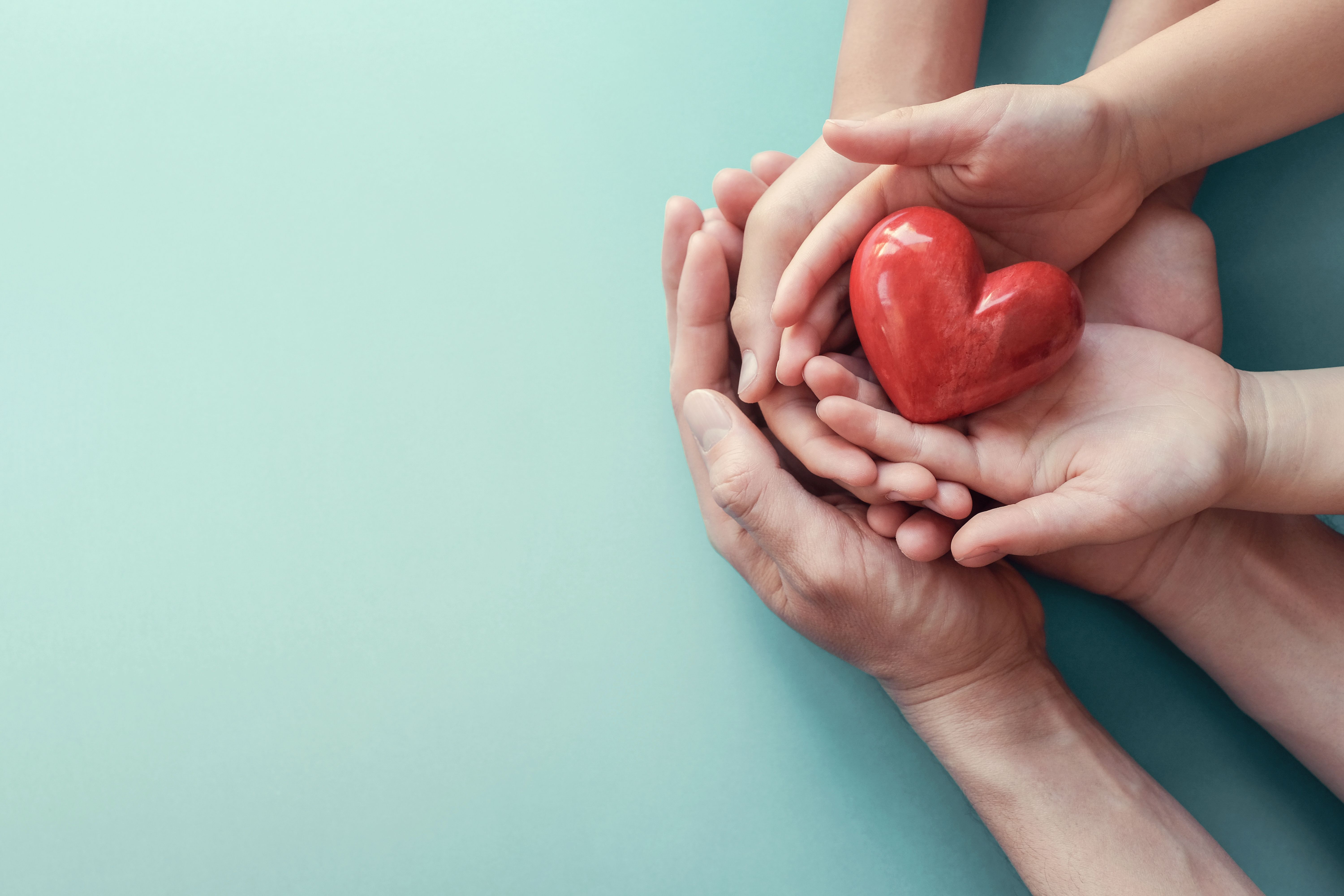 Family hands holding red heart, heart health insurance, charity volunteer donation, CSR responsibility, world heart day, world health day, family day, adoption foster care home, compliment concept - Image credit: SewcreamStudio | stock.adobe.com