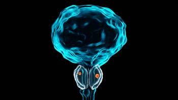 3D image of prostate cancer| Image Credit: © MohammedElAmine - stock.adobe.com