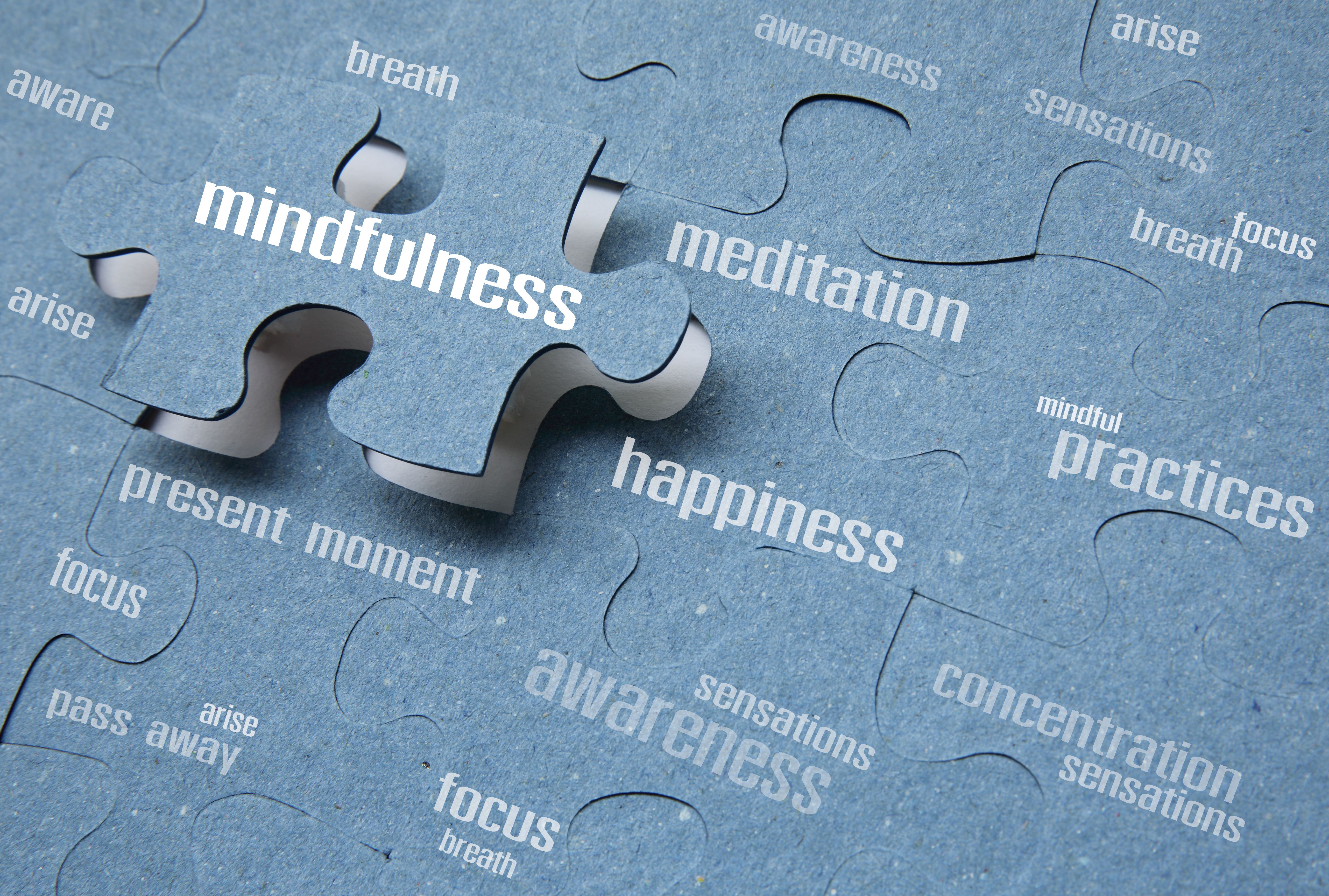 The findings show that mindfulness training groups could be recommended for those who have residual opioid cravings. | Image Credit: tooratanaubol | stock.adobe.com