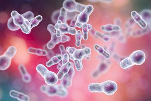Access to C. difficile Treatments Presents Challenges During Transitions of Care