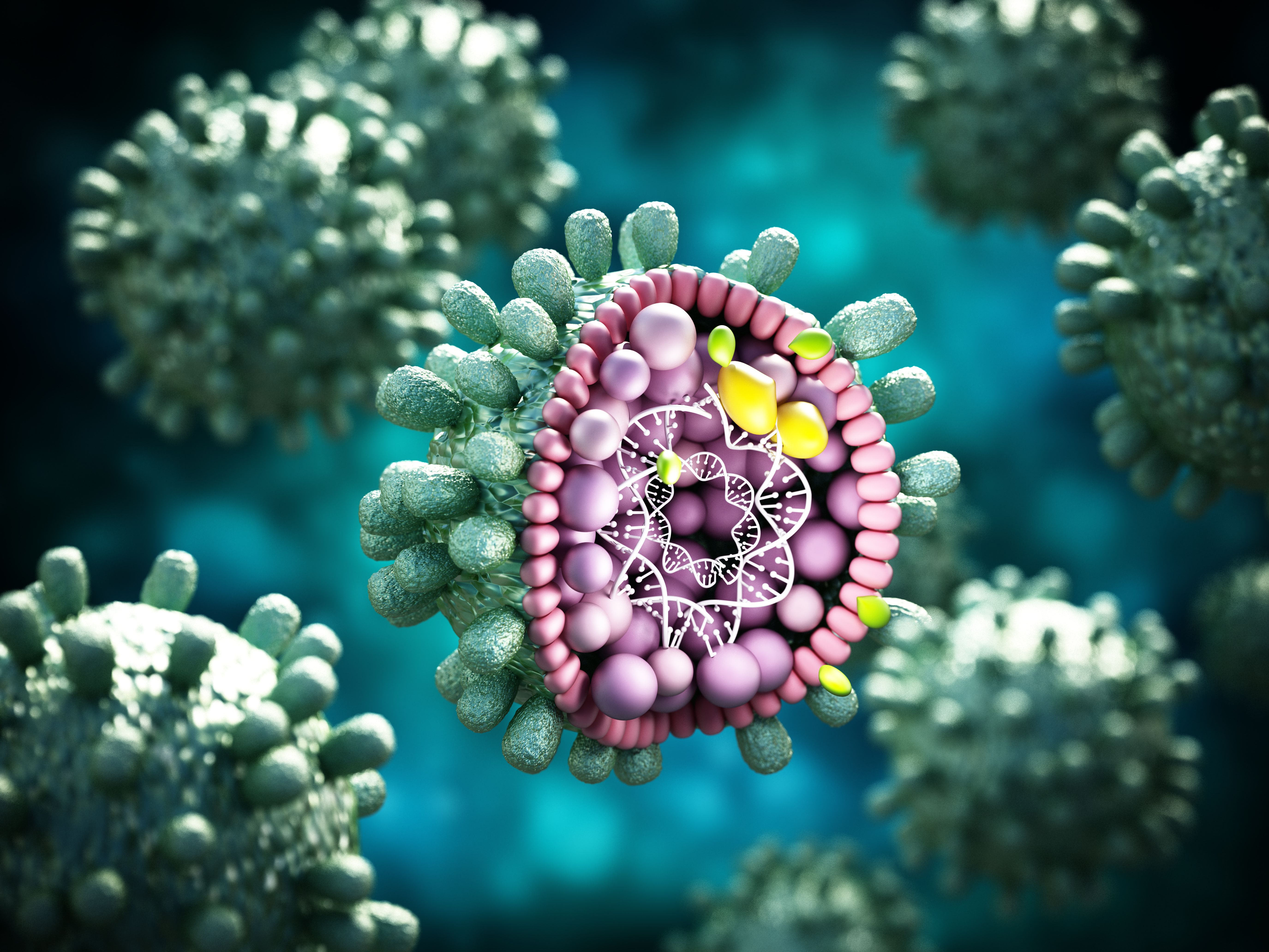 Structural detail of Hepatitis B virus on blue-green background. 3D illustration - Image credit: Destina | stock.adobe.com Structural detail of Hepatitis B virus on blue-green background. 3D illustration - Image credit: Destina | stock.adobe.com