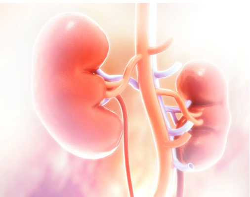 Second-Generation Combination Treatment Shows Long-Term Efficacy Against Advanced Kidney Cancer - Vimarsana News