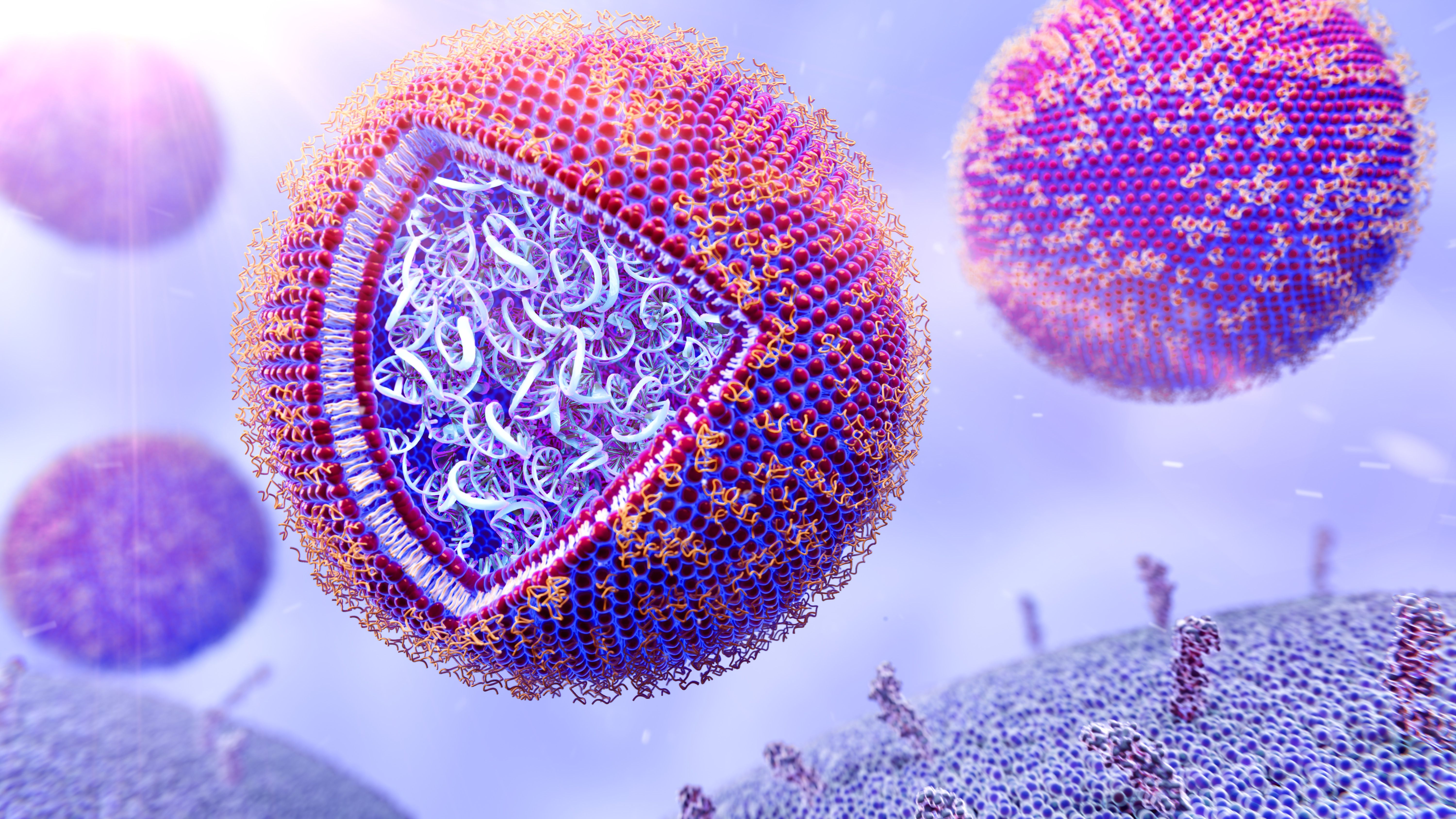 mRNA cancer vaccine nanoparticles | Image Credit: © Science RF - stock.adobe.com mRNA cancer vaccine nanoparticles | Image Credit: © Science RF - stock.adobe.com