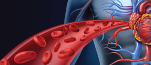 Can Multivitamins Curb Hypertension?