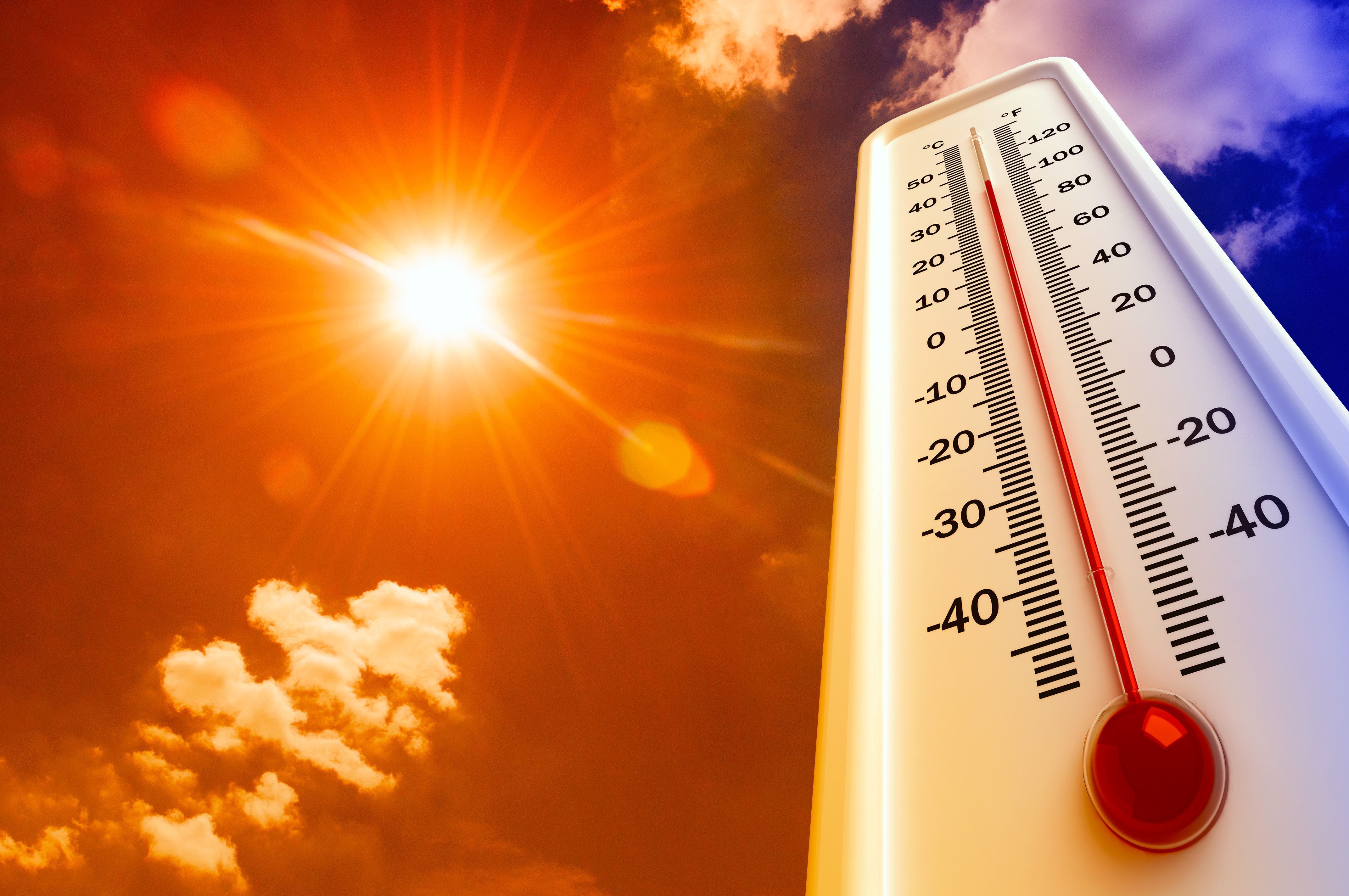 AHA 2024: High Temperatures Linked to Irregular Heartbeat in Individuals With Implanted Defibrillators