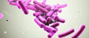 Antifungals Adherence Is Key to Fighting Fungal Infections