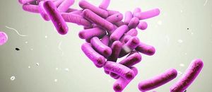 Antifungals Adherence Is Key to Fighting Fungal Infections