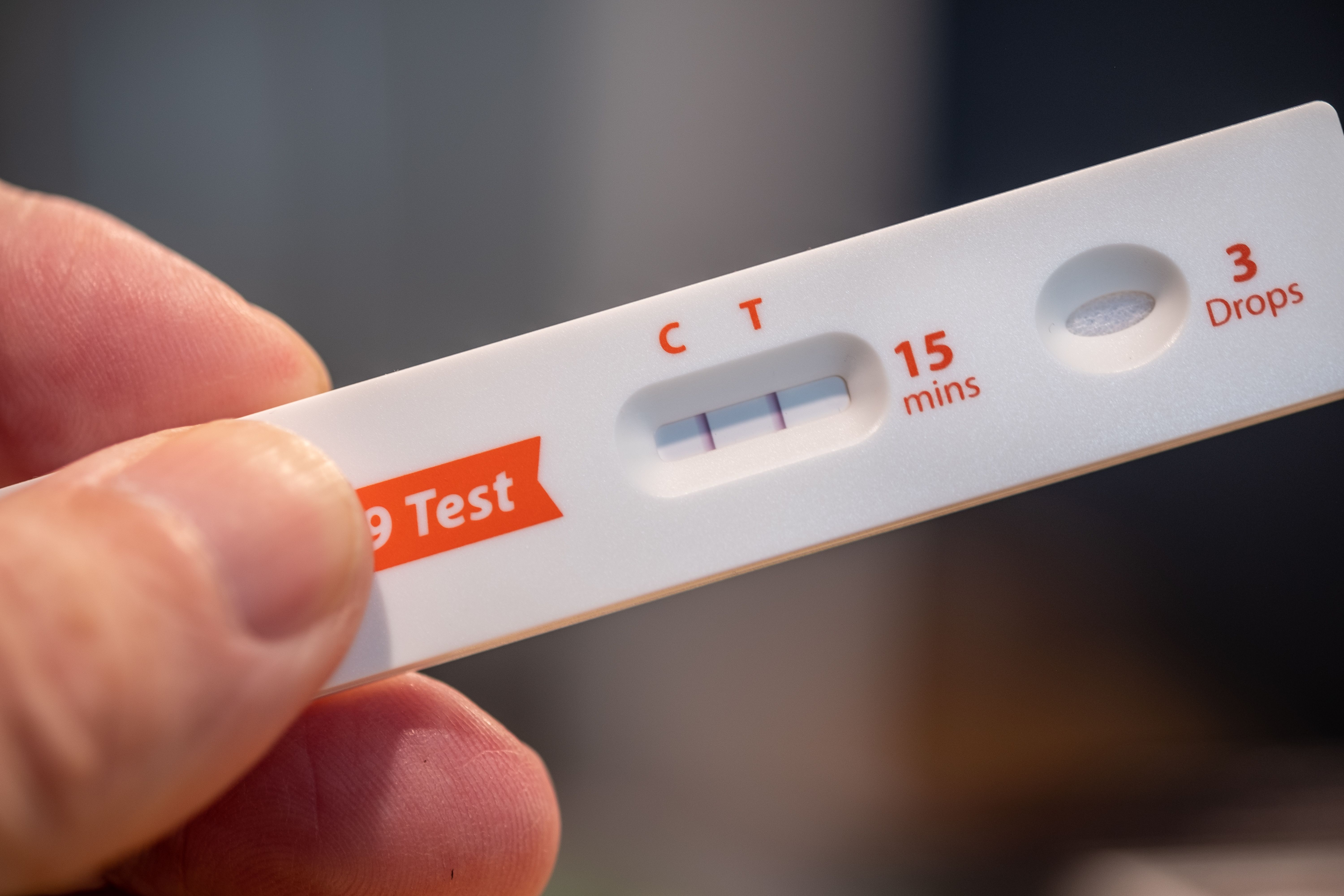 Rapid COVID-19 test showing a positive result -- Image credit: David Gales | stock.adobe.com