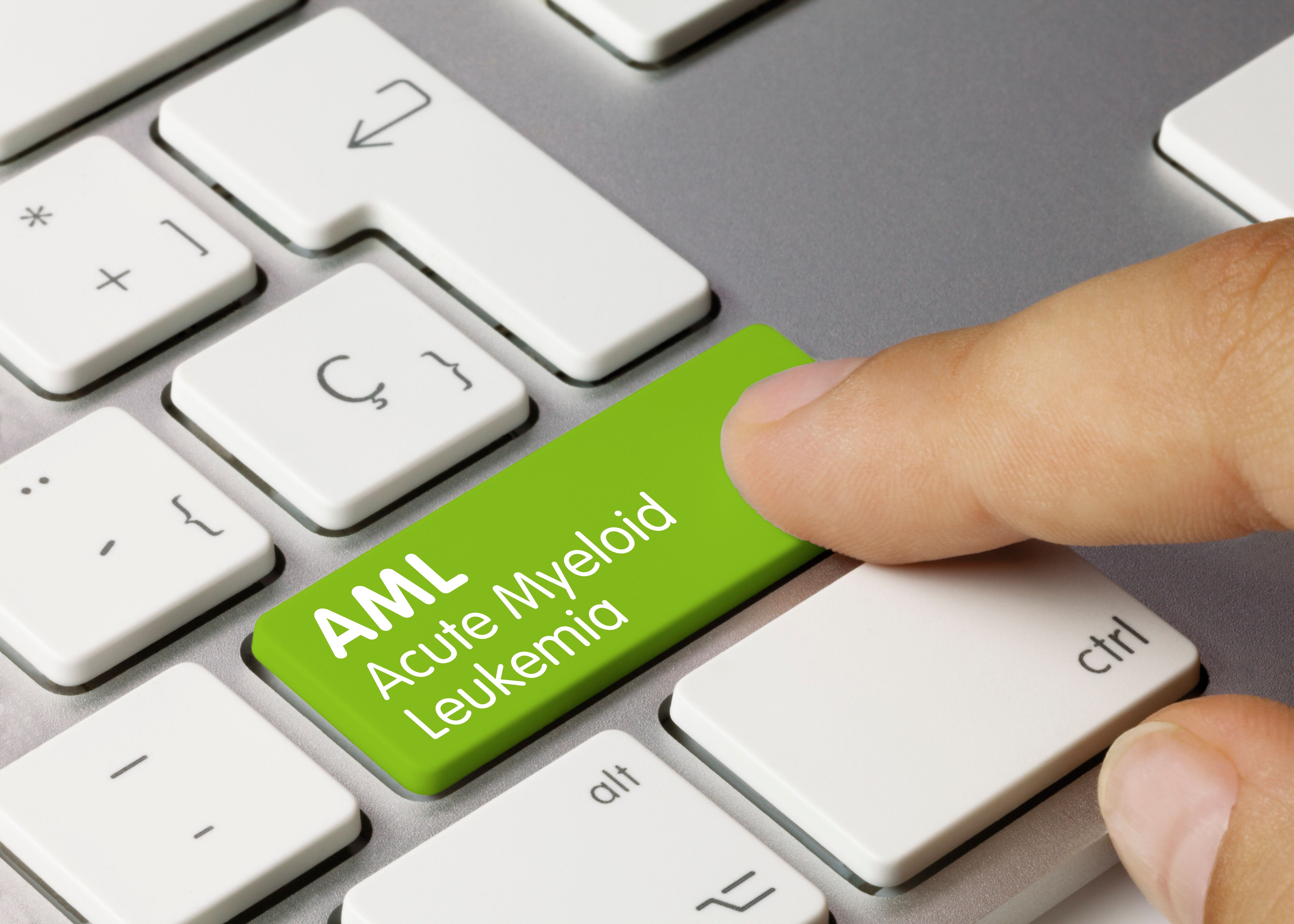 AML Acute Myeloid Leukemia | Image Credit: momius | stock.adobe.com